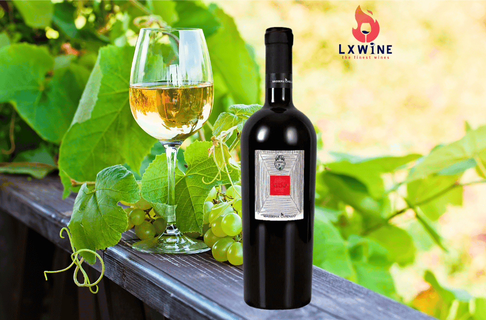 Vang Goj Matera Primitivo DUNG TÍCH: 750ML        SẢN XUẤT 
